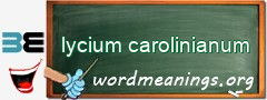 WordMeaning blackboard for lycium carolinianum